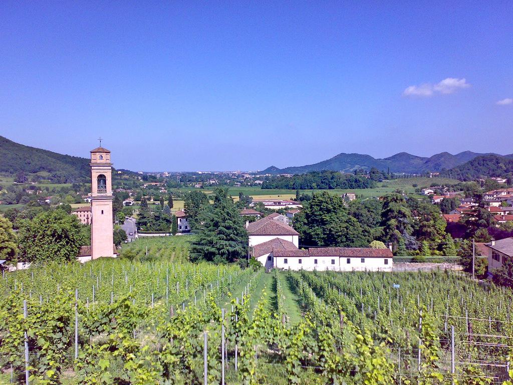 Villa Pollini Torreglia Exterior photo