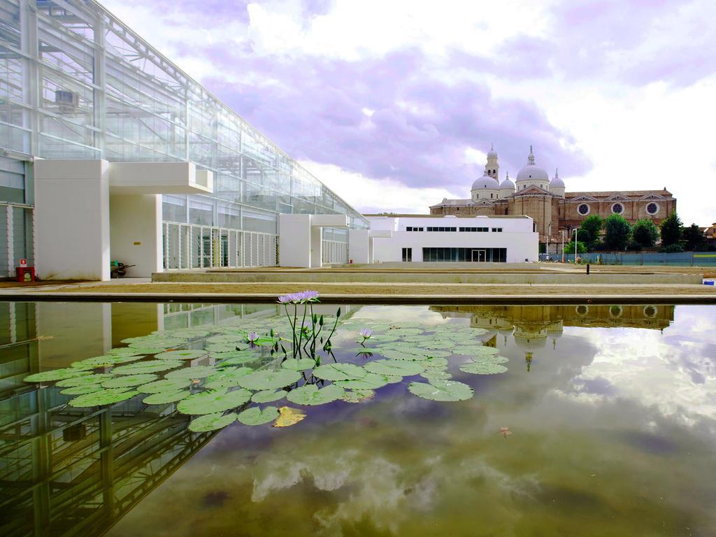 Villa Pollini Torreglia Exterior photo