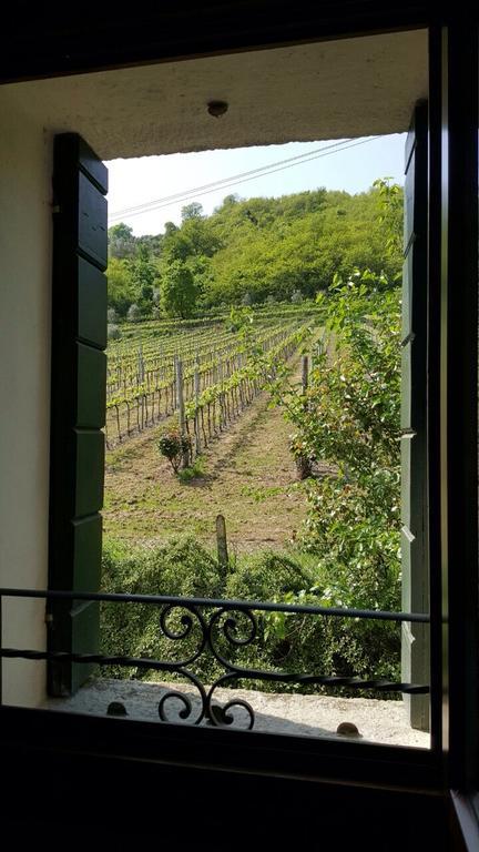Villa Pollini Torreglia Exterior photo